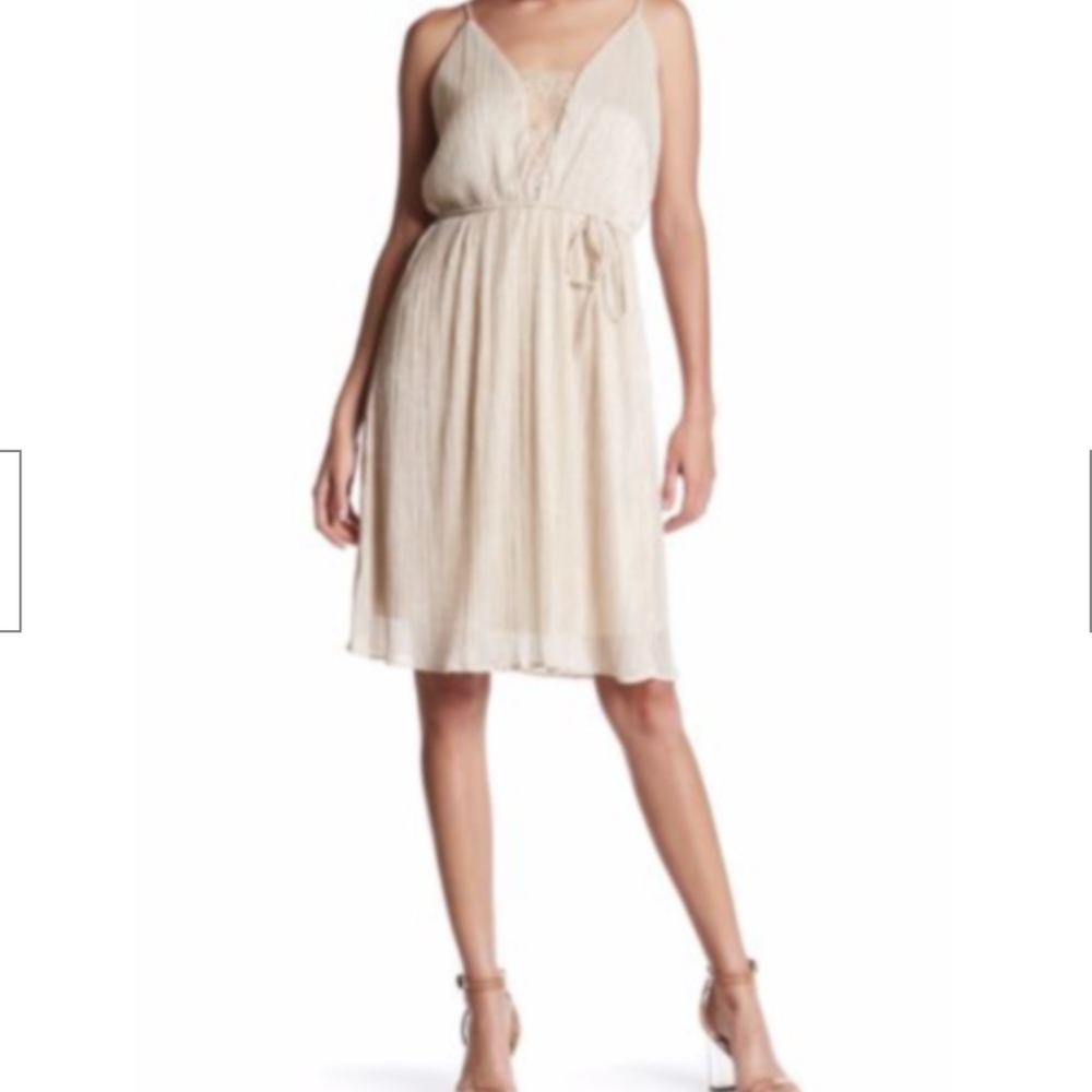 Spirit of Grace Shimmer Gatsby Sheer Dress NWT!